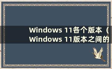 Windows 11各个版本（Windows 11版本之间的差异）